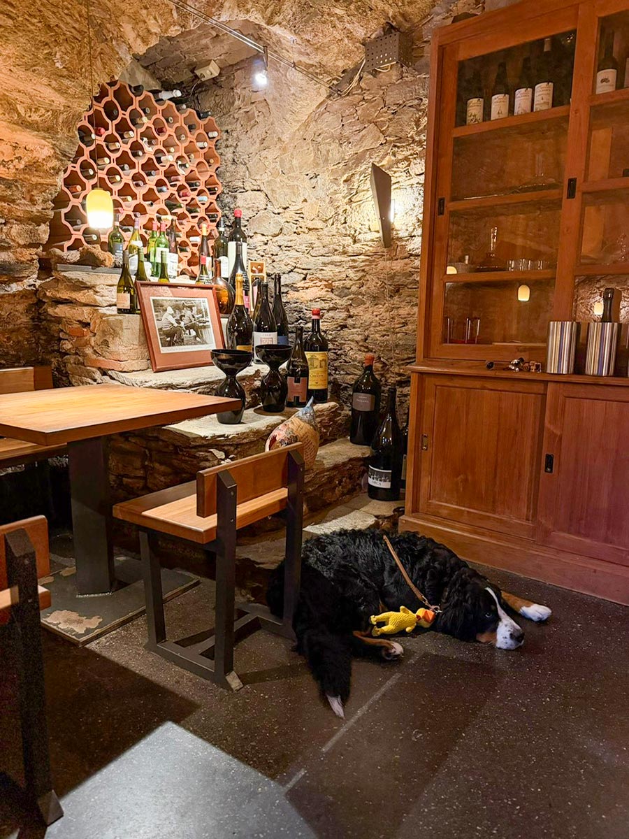 Gewölbekellertour am 30.1.2026